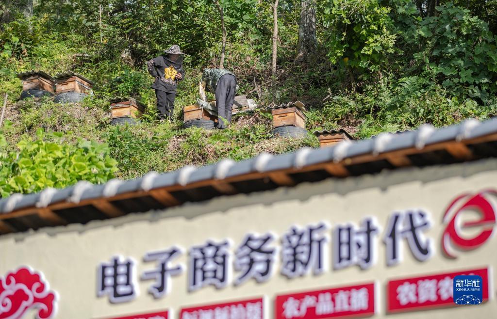 皇家金堡存1送18